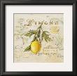 Tuscan Lemon by Angela Staehling Limited Edition Print