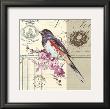 Bird Sketch Iii by Chad Barrett Limited Edition Print