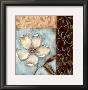 Blossoms On Blue I by C.W. Scott Limited Edition Print