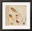 Asian Koi Ii by Grace Pullen Limited Edition Pricing Art Print