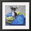 Chihuahua Pillows Ii by Carol Dillon Limited Edition Print