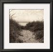 Dune Path by Christine Triebert Limited Edition Pricing Art Print