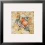 Fruit Frescos I by Jenny Mayfeld Limited Edition Pricing Art Print