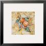 Fruit Frescos I by Jenny Mayfeld Limited Edition Print