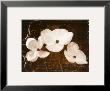Garden Love Letter I by Amy Melious Limited Edition Print