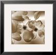 Dogwood by Ann Dahlgren Limited Edition Pricing Art Print