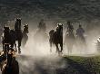 Cowboys Driving Horses At Sombrero Ranch, Craig, Colorado, Usa by Carol Walker Limited Edition Print
