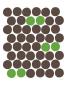 Green Dots by Avalisa Limited Edition Pricing Art Print