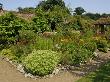 Large Garden Border Planted With Perennials And Shrubs, Gunthorpe Hall, Norfolk, Uk by Gary Smith Limited Edition Print