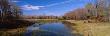 Pond In The Forest, Route 487, Ricketts Glen State Park, Pennsylvania, Usa by Panoramic Images Limited Edition Print