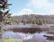 Mount Rainier by Ray Atkinson Limited Edition Print
