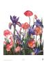 Poppies by Dru Bell Byers Limited Edition Pricing Art Print