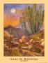 Ajo Sentinel by Anna M. Balentine Limited Edition Print