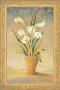 Symphony In White Iii by Kathleen Denis Limited Edition Print