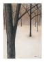 Solitude by Patrick St. Germain Limited Edition Print