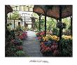 Paris Flower Market I by Montserrat Masdeu Limited Edition Print