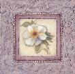 Lilac Peony Ii by Charlene Winter Olson Limited Edition Print