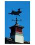 Weathervane by Bruce Morrow Limited Edition Print