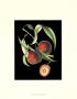 D'avoine Plums I by Pierre-Joseph D'avoine Limited Edition Pricing Art Print