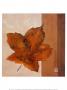 Leaf Impression, Ochre by Ursula Salemink-Roos Limited Edition Print