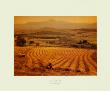 Tuscan Harvest by Bob Krist Limited Edition Pricing Art Print
