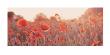 Field Of Poppies by Ian Winstanley Limited Edition Print