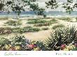 Pine Beach by Carol Ann Curran Limited Edition Pricing Art Print