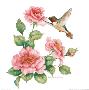 Ruby Throated Humingbird With Roses Ii by Carolyn Shores-Wright Limited Edition Print