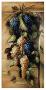 Grapes Abundant by Riccardo Bianchi Limited Edition Print