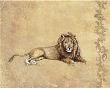 Wild Lion by Consuelo Gamboa Limited Edition Print