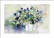 Daisies by J. Hammerle Limited Edition Print