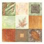 Leaf Abstract Ii by Lucy Davies Limited Edition Pricing Art Print