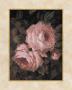 Venetian Roses Ii by Sylvia Bogani Limited Edition Print