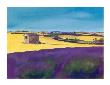 Summer In Provence Iii by L. Vallet Limited Edition Print