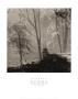 Desert De Retz Study Iv by Michael Kenna Limited Edition Pricing Art Print