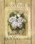 Begonias by Carol Robinson Limited Edition Print