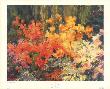 Azaleas, Giverny by M. H. Armstrong Limited Edition Print