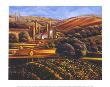View From The Valley, Vineyards by Trish Biddle Limited Edition Print