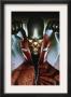 The Amazing Spider-Man #608 Cover: Spider-Man by Adi Granov Limited Edition Print