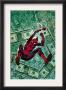 The Amazing Spider-Man #580 Cover: Spider-Man by Lee Weeks Limited Edition Print