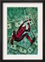 The Amazing Spider-Man #580 Cover: Spider-Man by Lee Weeks Limited Edition Pricing Art Print