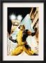 Wolverine Origins #42 Cover: Wolverine by Doug Braithwaite Limited Edition Pricing Art Print