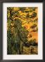 Pine Trees Against A Red Sky With Setting Sun by Vincent Van Gogh Limited Edition Print