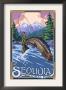 Sequoia Nat'l Park - Fly Fisherman - Lp Poster, C.2009 by Lantern Press Limited Edition Print
