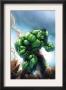 Marvel Age Hulk #1 Cover: Hulk by Shane Davis Limited Edition Pricing Art Print