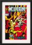 Wolverine #9 Cover: Wolverine by Gene Colan Limited Edition Print