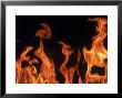 Close Up Of Flames by John Dominis Limited Edition Pricing Art Print