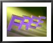 Free by Casey Mcnamara Limited Edition Pricing Art Print