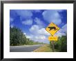 Road Sign Of Animal Crossing, Fl by Peter Adams Limited Edition Print