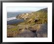 Point Lobos, Sutro Banks by David Wasserman Limited Edition Print